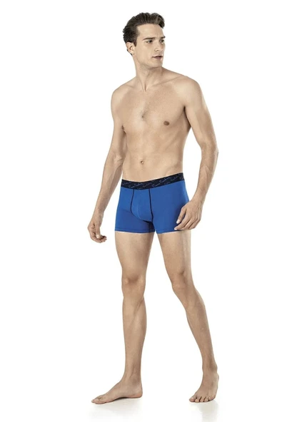 Pierre Cardin Erkek Pamuklu Saks-Lacivert-Gri 3 lü Boxer - 2