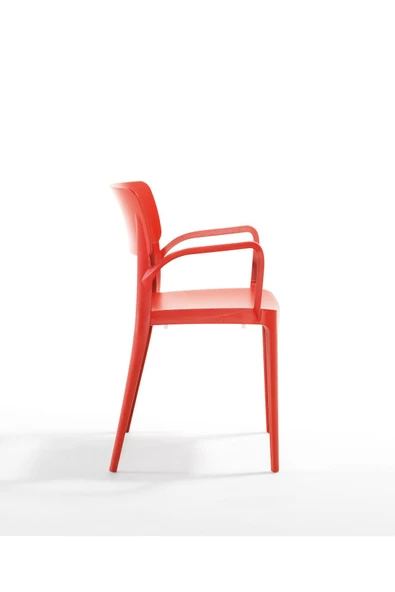 NOVUSSİ PANORA SANDALYE ( 2 ADET OLARAK SATIŞA SUNULMUŞTUR ) - Resim 4