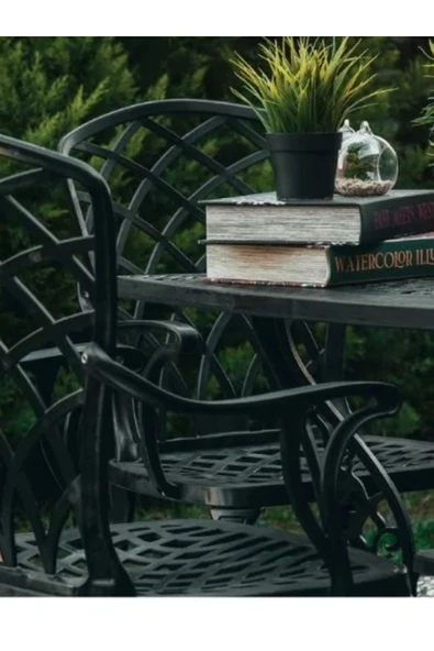 IVF HİTİT Ferforje Görünümlü Plastik Sandalye - Resim 2