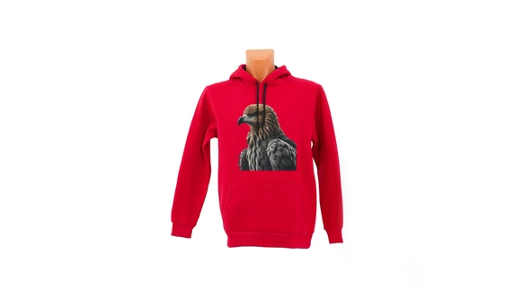 Kartal baskılı Sweatshirt