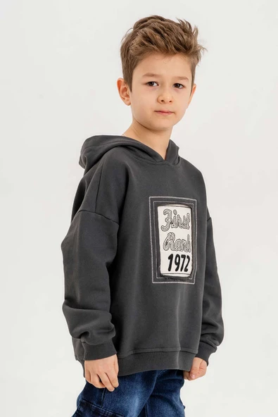 Kapüşonlu %100 Pamuk 3 İplik Erkek Çocuk Sweatshirt - Resim 11
