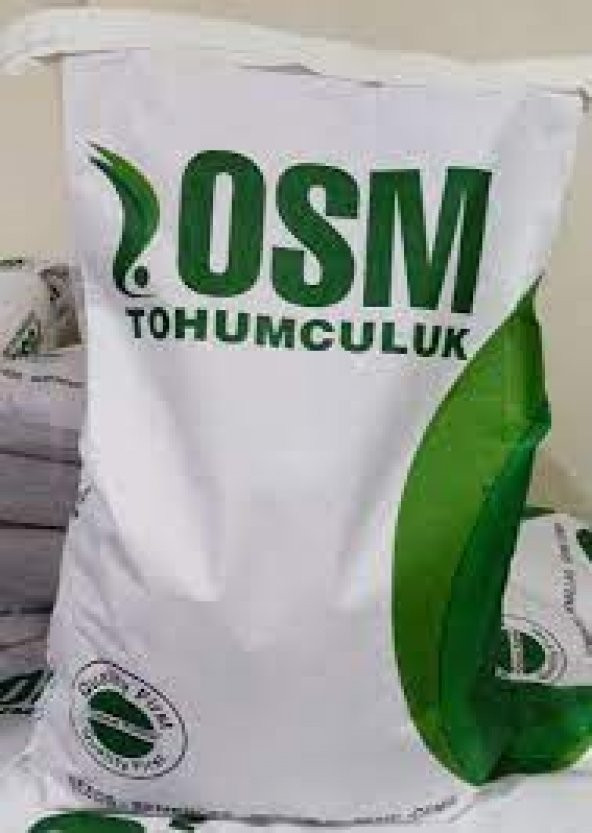 10 KG YONCA TOHUMU SUNTER OSM 10 Kg ÜCRETSİZ KARGO