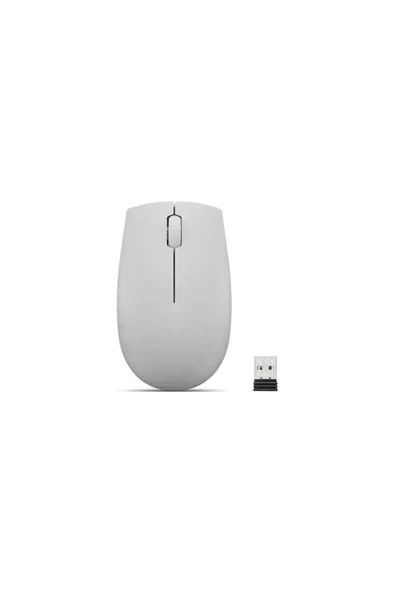LENOVO  300 WIRELESS COMPACT MOUSE - GRİ