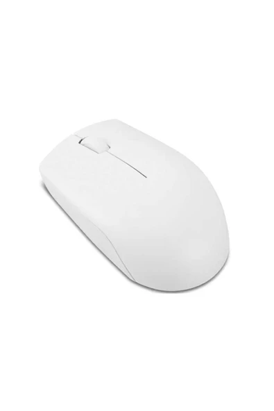 LENOVO  300 KABLOSUZ KOMPAKT MOUSE - GRİ - 2