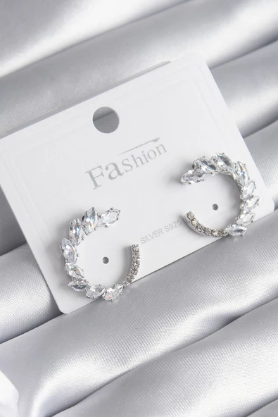 Gümüş Renk Zirkon Taşlı Kadın Küpe - EBJ241206W26268 ürün görseli