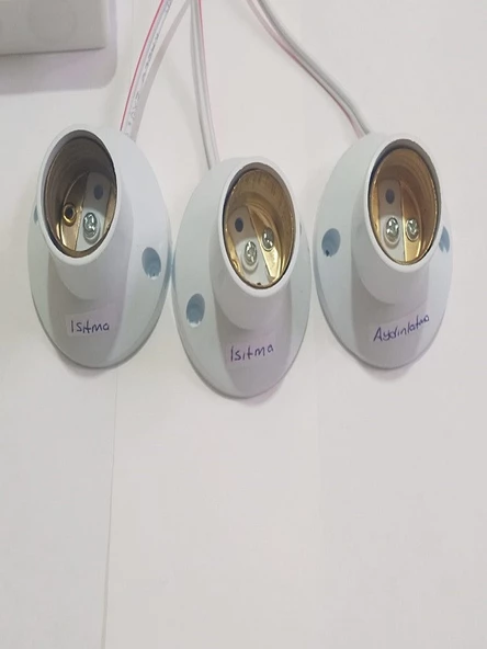 Termostat Kontrollü 2 Isıtma 1 Aydınlatma Seti Hayvan Kulübe Isıtma Sistemi - 3