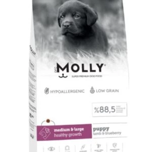 Molly Medium Large Puppy Kuzu Etli Yaban Mersinli Yavru Köpek Maması 2 Kg