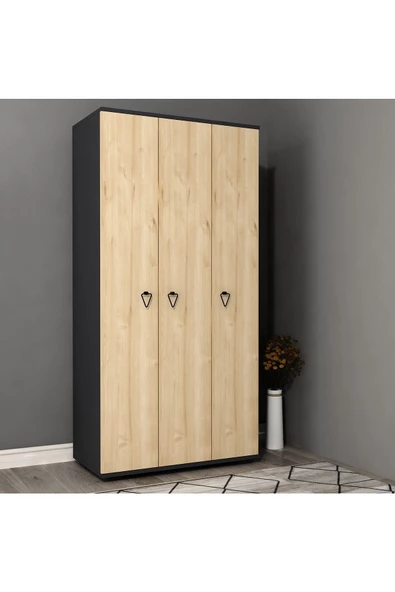 DEMONTE DECOR NİRVANNA (C) 3 KAPAKLI GARDIROP ELBİSE DOLABI ve ÇOK AMAÇLI DOLAP ANTRASİT-SAFİRMEŞE