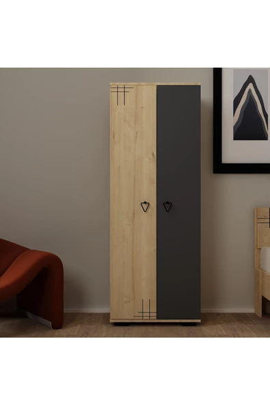 DEMONTE DECOR ARYADD (B) 2 KAPAKLI GARDROP VE ÇOK AMAÇLI DOLAP SAFİRMEŞE-ANTRASİT
