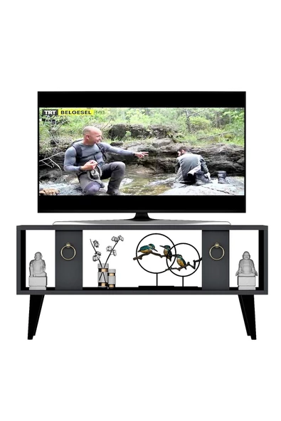 DEMONTE DECOR Peradd Tv Sehpasi Antrasi?t - 4