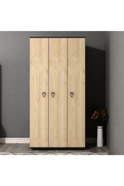 DEMONTE DECOR NİRVANNA ÇOCUK GENÇ ODASI (C-L-S-P) ANTRASİT-SAFİRMEŞE - 2