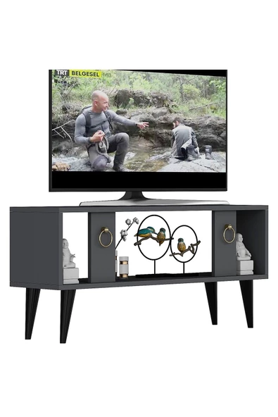 DEMONTE DECOR Peradd Tv Sehpasi Antrasi?t - 5
