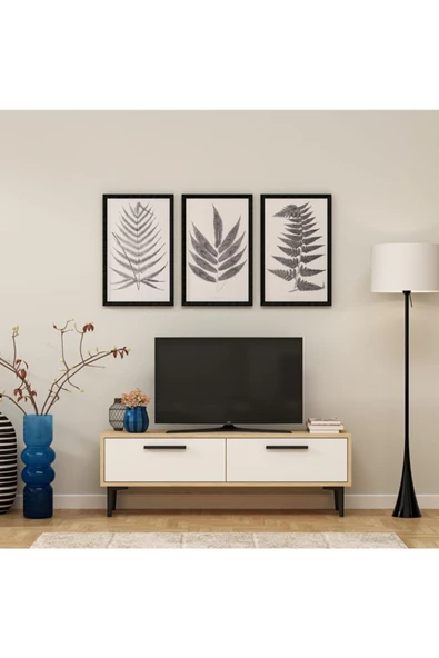 DEMONTE DECOR Leni Tv Ünitesi Safirmeşe-beyaz