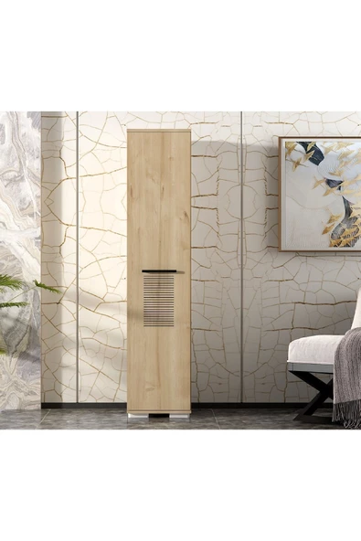 DEMONTE DECOR ASİMO (A) 1 KAPAKLI DOLAP SAFİRMEŞE-SAFİRMEŞE