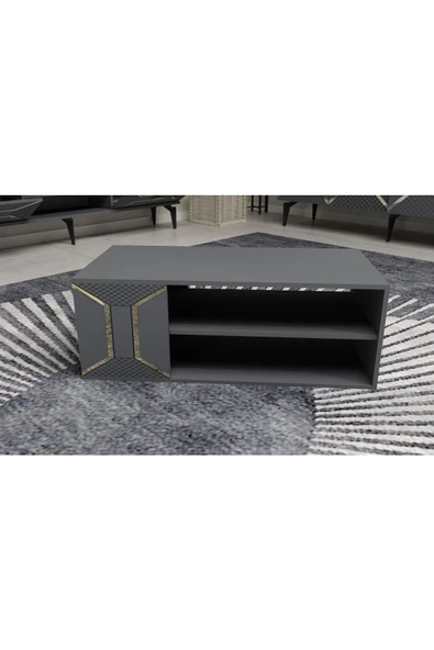 DEMONTE DECOR YUMEDİ ORTA SEHPA ANTRASİT-ALTIN