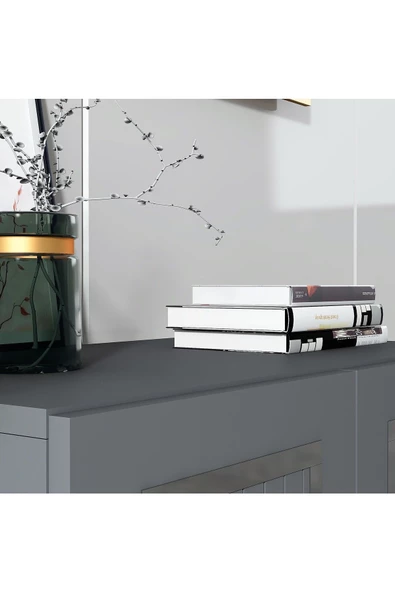 DEMONTE DECOR Caprii Pleksi Desenli Konsol , Çok Amaçlı Dolap , Banyo Dolabı Antrasit-gümüş - 5