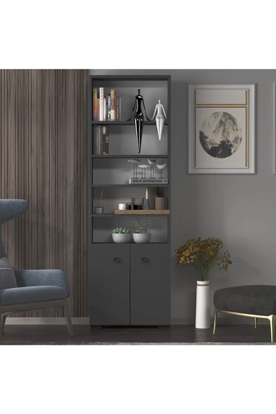 DEMONTE DECOR REMY KAPAKLI,RAFLI KİTAPLIK (TEKLİ MODÜL)  ANTRASİT