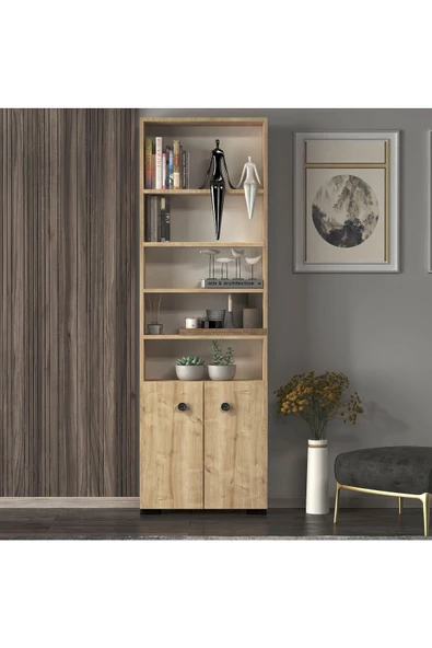 DEMONTE DECOR REMY KAPAKLI,RAFLI KİTAPLIK (TEKLİ MODÜL)  SAFİRMEŞE