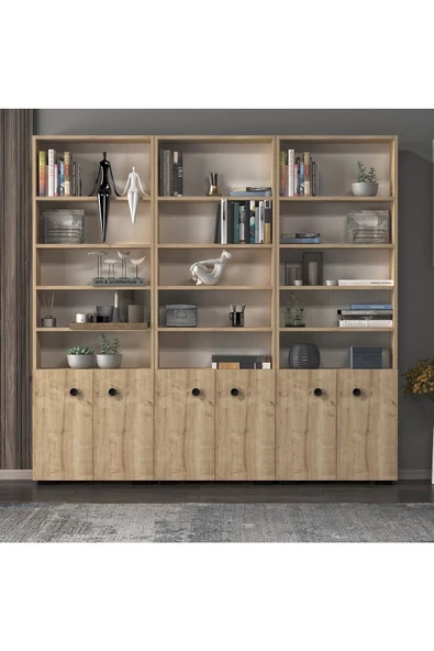 DEMONTE DECOR REMY KAPAKLI,RAFLI KİTAPLIK (3'LÜ MODÜL) SAFİRMEŞE-SAFİRMEŞE