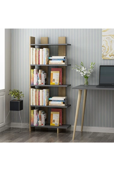 DEMONTE DECOR Elas Kitaplık Safirmeşe Antrasit