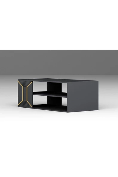 DEMONTE DECOR YUMEDİ ORTA SEHPA ANTRASİT-ALTIN - 4