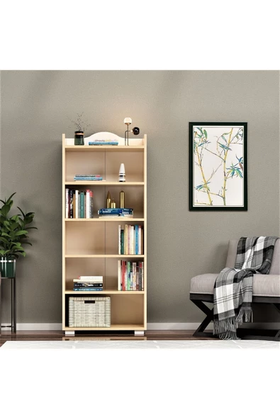 DEMONTE DECOR 6 Raflı Wıse Kitaplık Safirmeşe