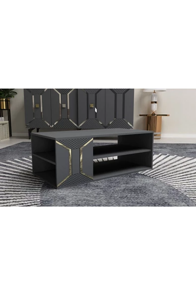 DEMONTE DECOR YUMEDİ ORTA SEHPA ANTRASİT-ALTIN - 2