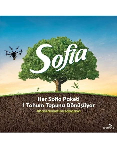 Sofia 3 Katlı 32'li Tuvalet Kağıdı - 2