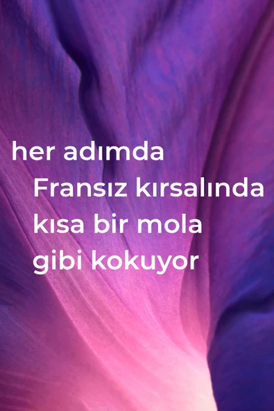 Method Bitki Bazlı Çok Amaçlı Yüzey Temizleyici Fransız Lavantası Kokulu 828ML - 3