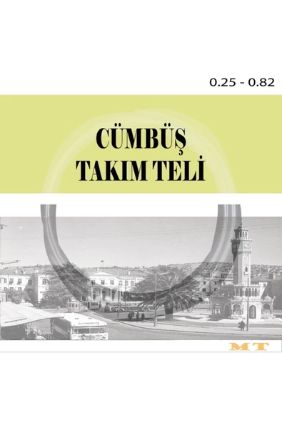 Cümbüş Teli