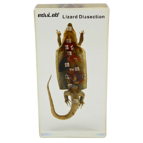 KERTENKELE KESİTİ - Resim 2