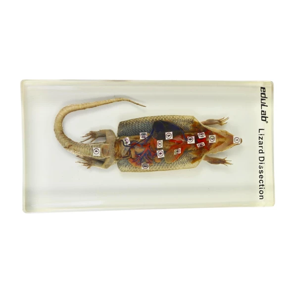 KERTENKELE KESİTİ - Resim 3