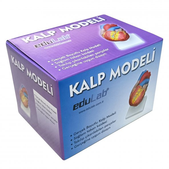 KALP MODELİ KÜÇÜK - 3