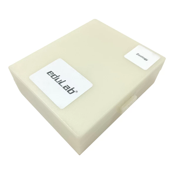 PREPARAT 25'LİK SETİ (HAYVAN ANATOMİSİ) - Resim 3