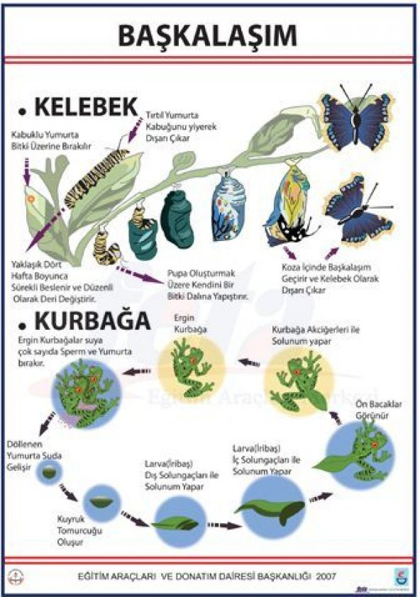 BAŞKALAŞIM LEVHASI ürün görseli 1