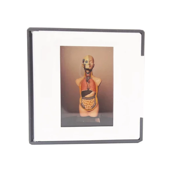 DİYAPOZİTİF (EDULAB) ürün görseli