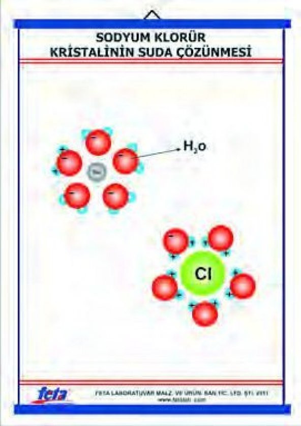 TUZ KRİSTALİNİN SUDA ÇÖZÜNMESİ LEVHASI (70X100 CM) ürün görseli