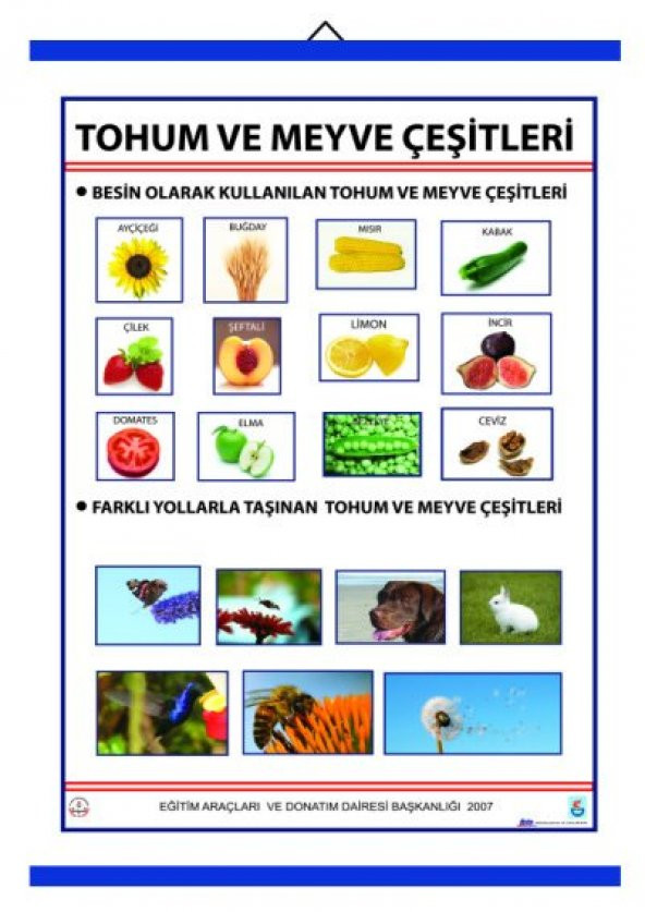 TOHUM VE MEYVE ÇEŞİTLERİ LEVHASI (70X100 CM) ürün görseli