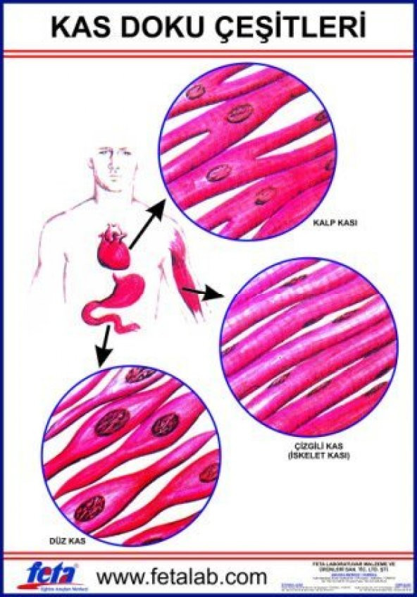 Kas Doku Eğitim Plakası ürün görseli