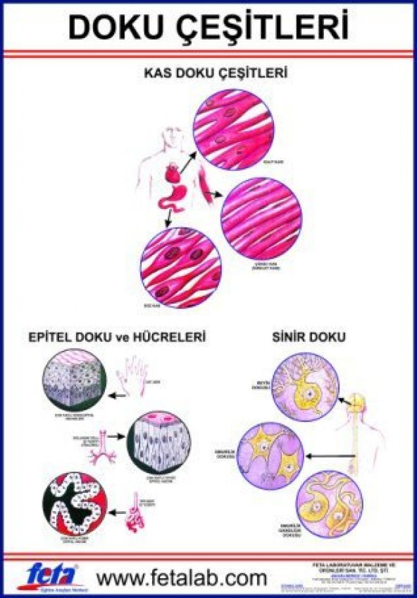 Doku Levhası 70X100 EBATLARINDA ürün görseli