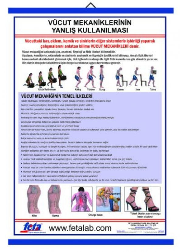 Vücut Mekaniğinin Yanlış Kullanılması Sonucu Oluşan Bozukluklarla İlgili - 1