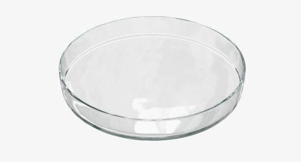 PETRİ KABI (Ø 100 mm. Cam) - Resim 3