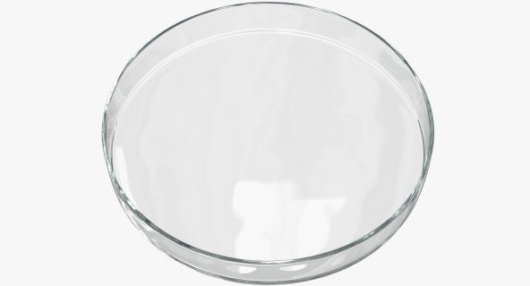 PETRİ KABI (Ø 100 mm. Cam) - Resim 4