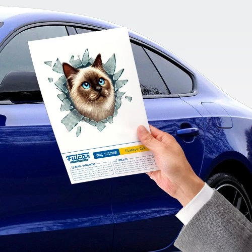 Fulcar Siamesse Araç Stickerı - 2