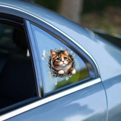 Fulcar Stray Araç Stickerı - 2