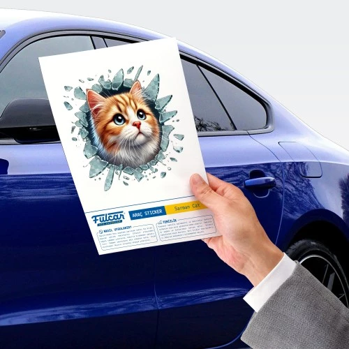 Fulcar Sarman Araç Stickerı - 2