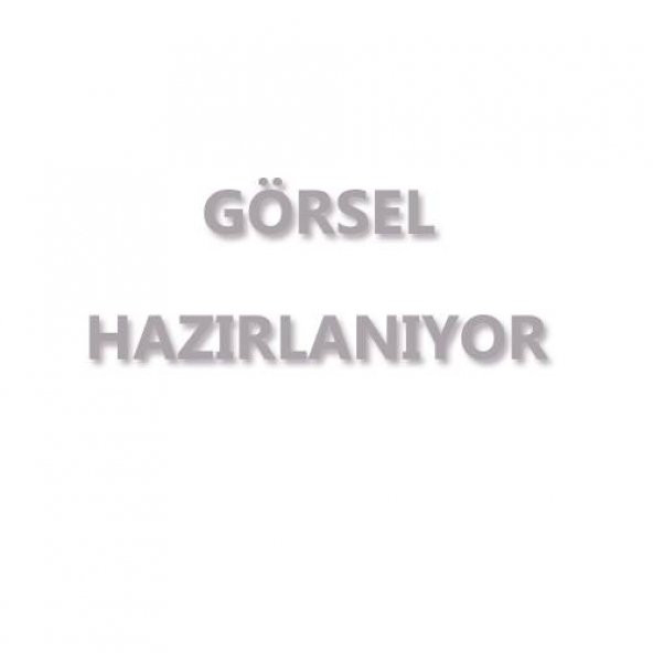 Strateji Yayınları Ayt Ösym Tarzında 4 Fasikül Deneme Sınavı 2021 - 5