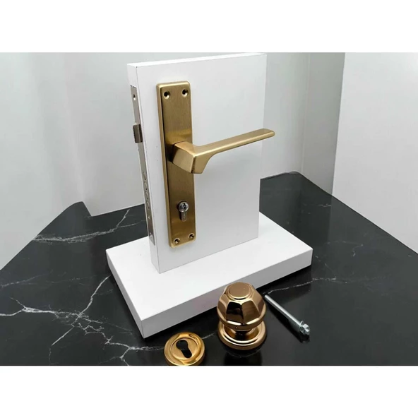 Zey Mat Altın Çelik Kapı Kolu Sağ Basar + Kapı Tokmağı Kilit Hariçtir - 2