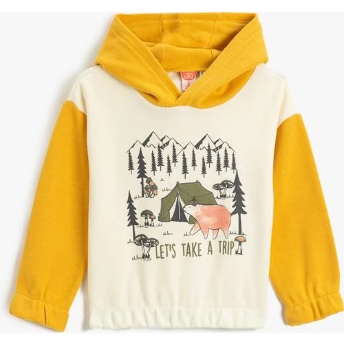 SARI SWEATSHIRTS - 2