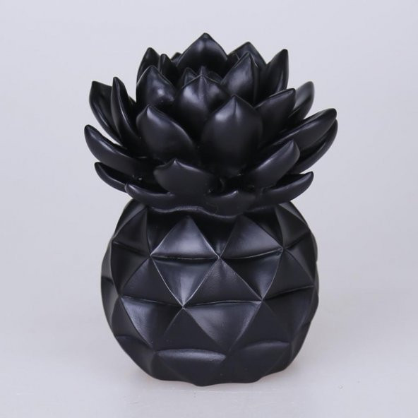 Selim Dekor Echeveria Dekoratif Aksesuar Siyah